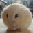 sironfoot