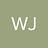 wj313